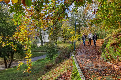 Bilde av tre mennesker som går ved siden av hverandre på en av stiene i Nygårdsparken i Bergen