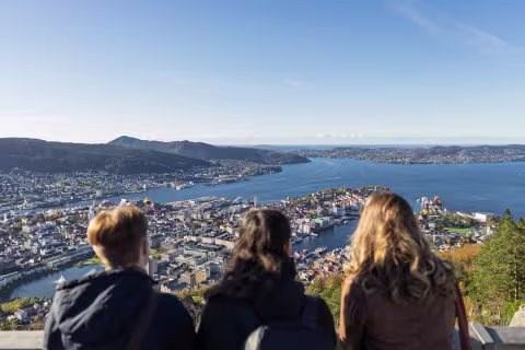 utsiktsbilde over bergen