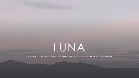 dekorativt bilde forskergruppen LUNA