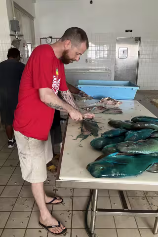 Ola preparing fish