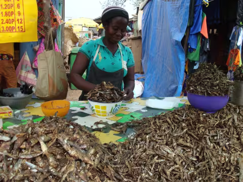 Woman selling small fish in market in Ghana in Western Africa
