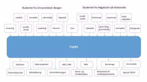 TVEPS-praksis studenter og praksisarenaer