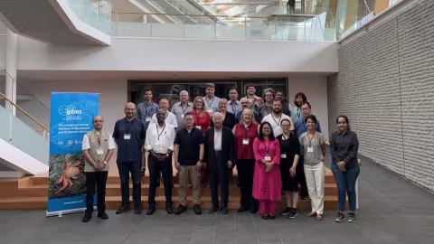 workshop participants