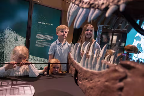 Barn ser på dinosaurkopi