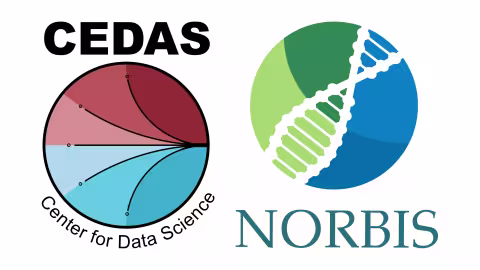 CEDAS / NORBIS logo