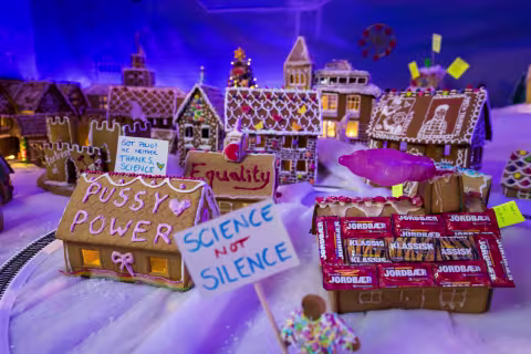 Kreasjoner på Den akademiske pepperkakebyen