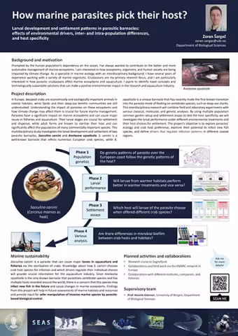 Zoran's introductory poster thumbnail