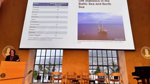 Leila Neimane speaking at SMI conference