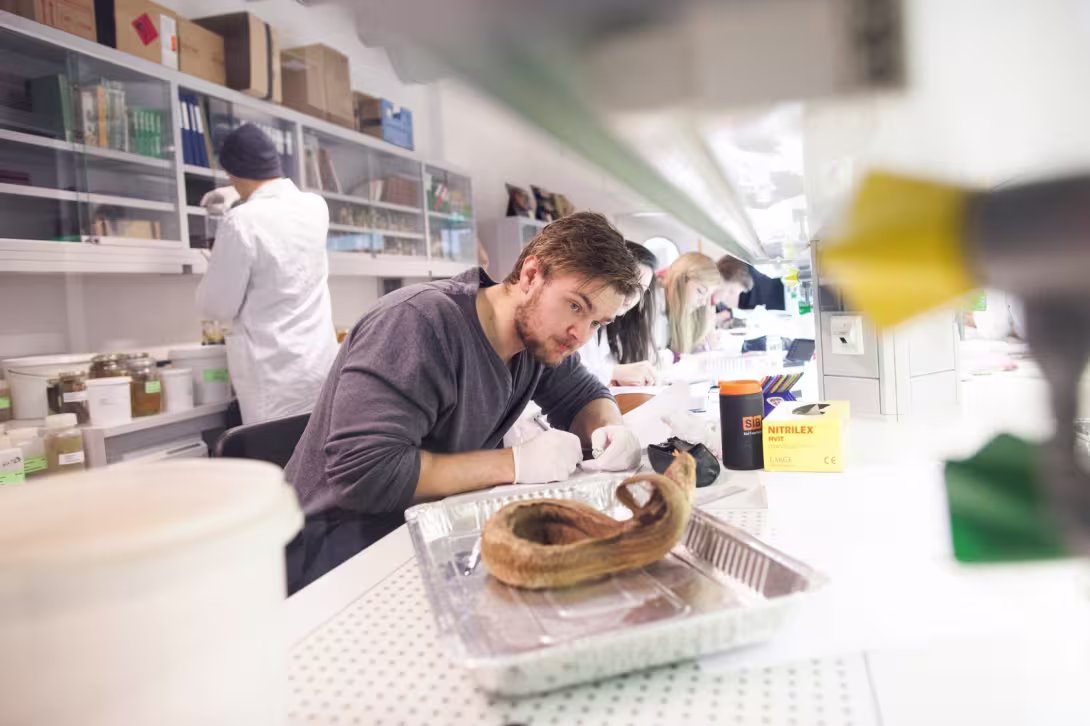 Illustrasjonsbilde: Student sitter på lab og noterer og ser på objekt som ligger i en aluminiumsform