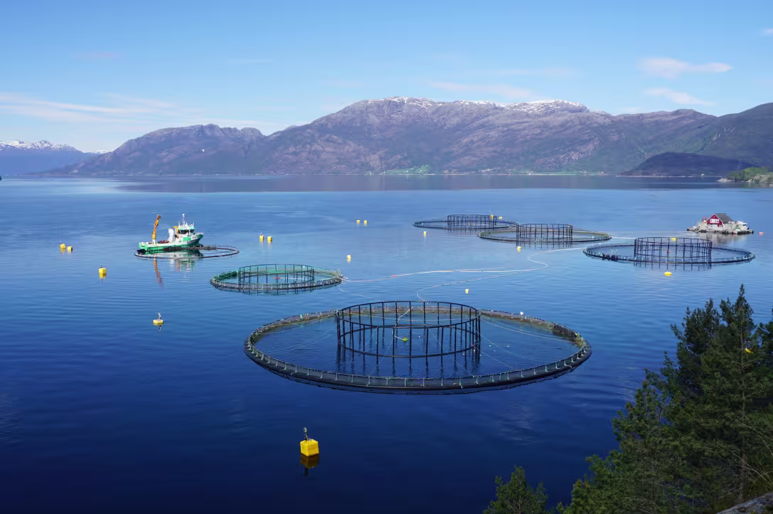 Aquaculture