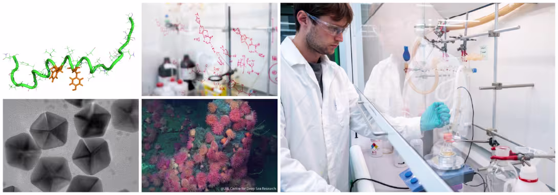 Illustrativt bilde som viser kjemiker i arbeid, molekyler og marine organismer