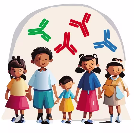 Figur som viser autoantistoffer, antistoffer som er rettet mor kroppens egne proteiner