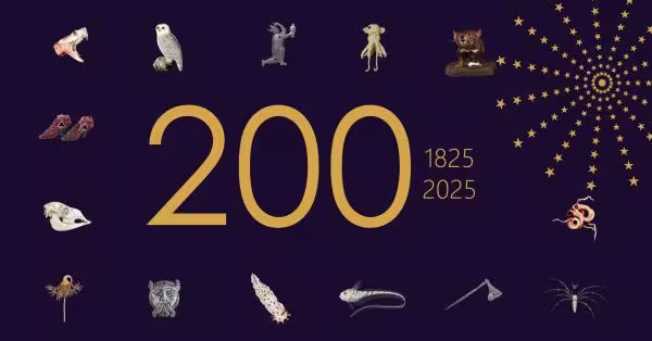 Grafisk illustrasjon med museumsgjenstander og tallet 200