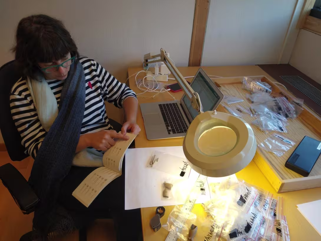 Woman sitting by her desk studying archealogical finds