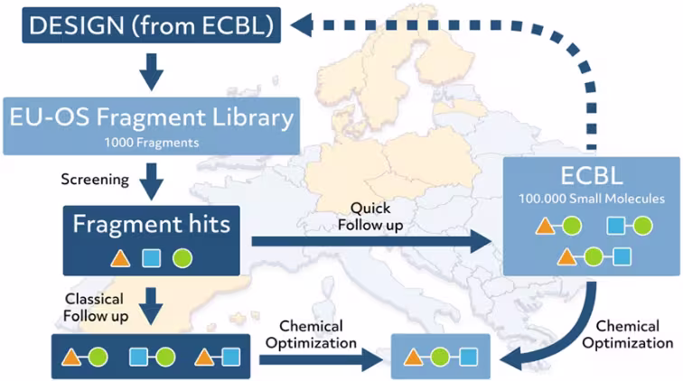 Figure illustrating the research
