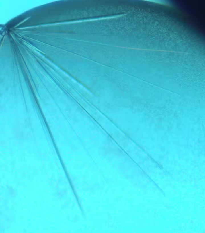 Protein crystals grown in our lab in Bergen