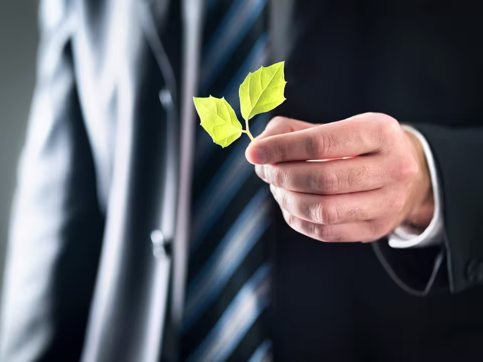 Illustrasjonsbilde av en dresskledd mann som holder frem et grønt blad