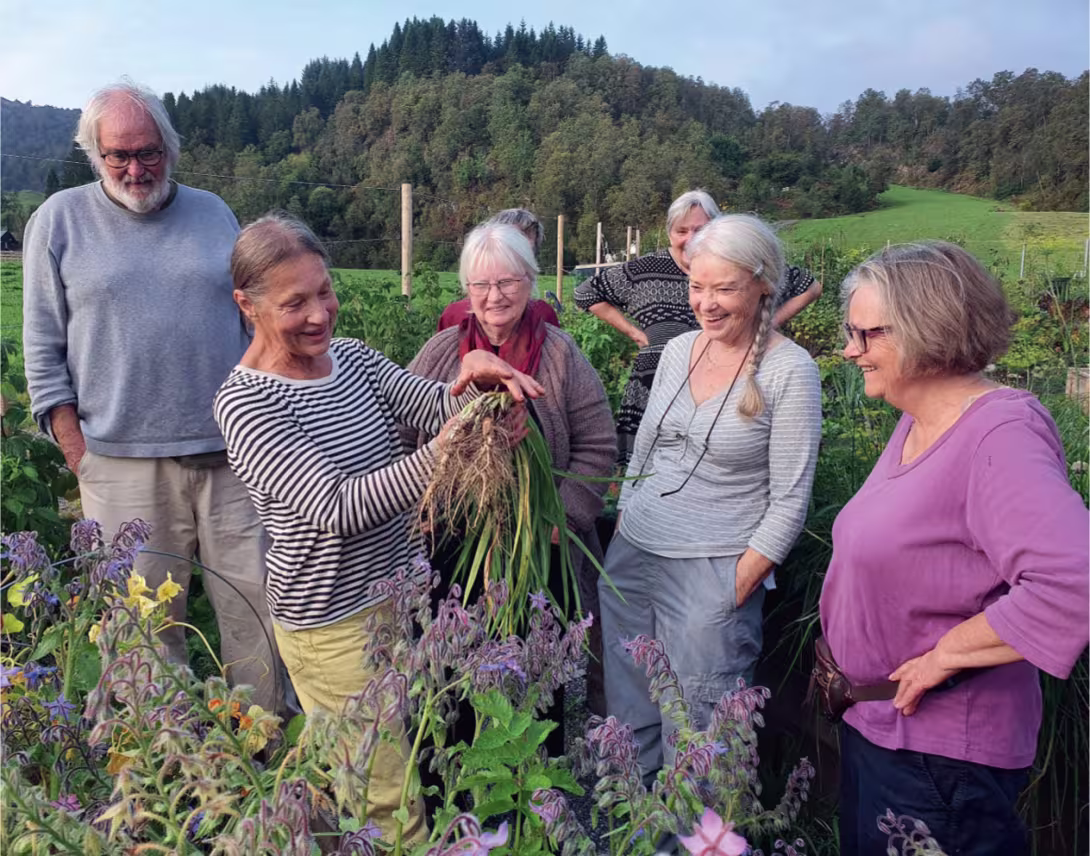 Fem eldre mennesker som arbeider sammen i en felles kjøkkenhage.