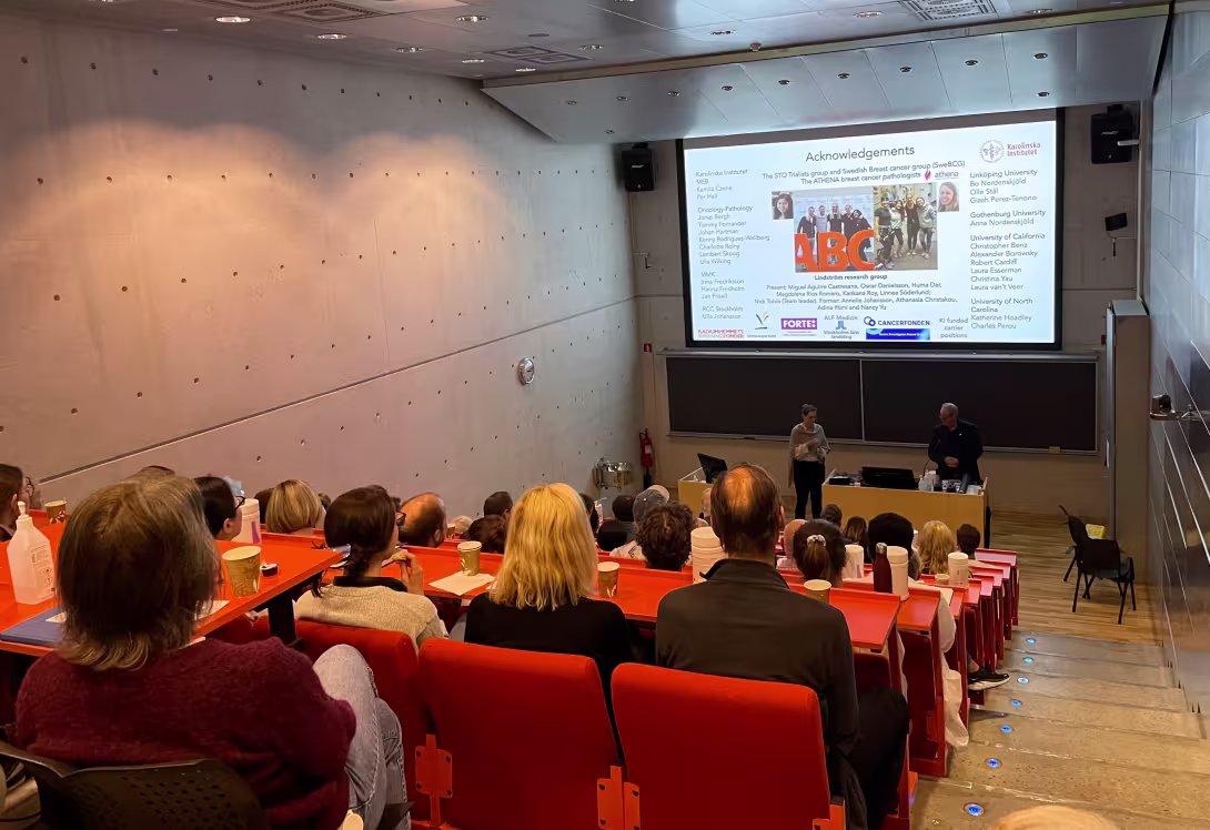 An auditorium with lots of people in the audience, and a speaker on stage.