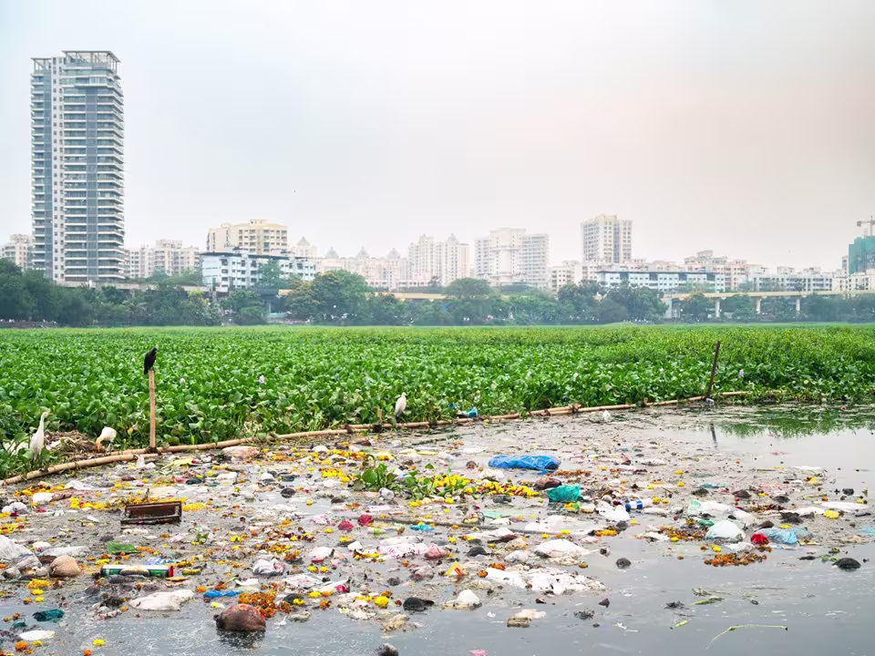 Photo of poluted water in front of a city skyline 