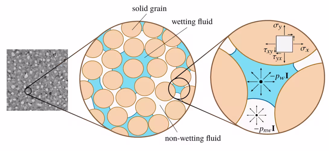 Porescale visualization of difference internal stresses and the pore pressure for a multi-phasic porous system