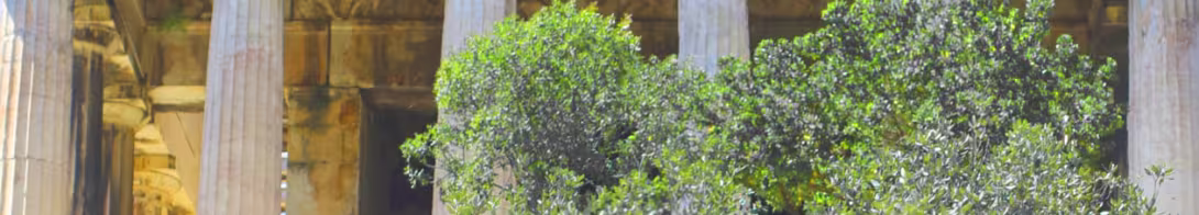 Weathered stone columns of ancient Herakleion partially obscured by green foliage.