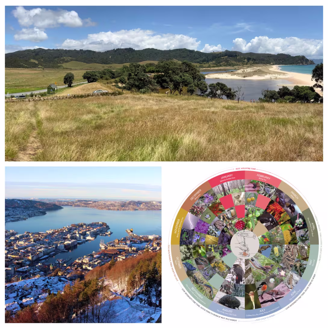 A collage of three images: Landscapes in Coromandel and Bergen and a circular indigenous calendar