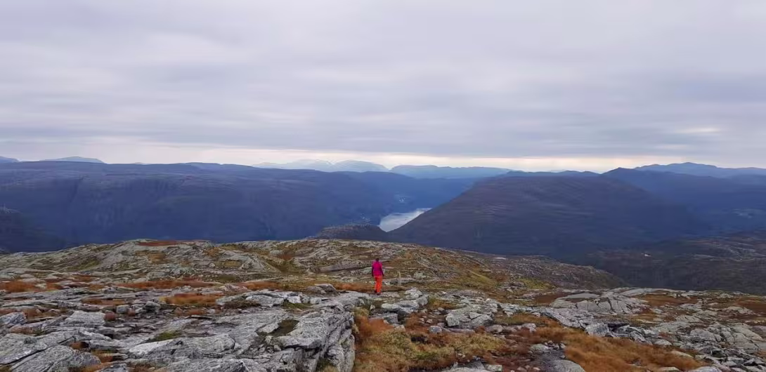 A mountain top covered with moss and lichen, a view over more mountain top