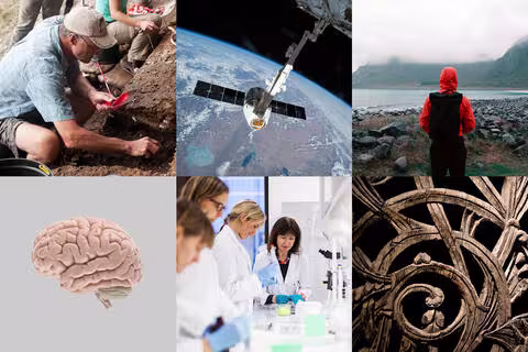 Kollasj med bilde av ulike fagfelt