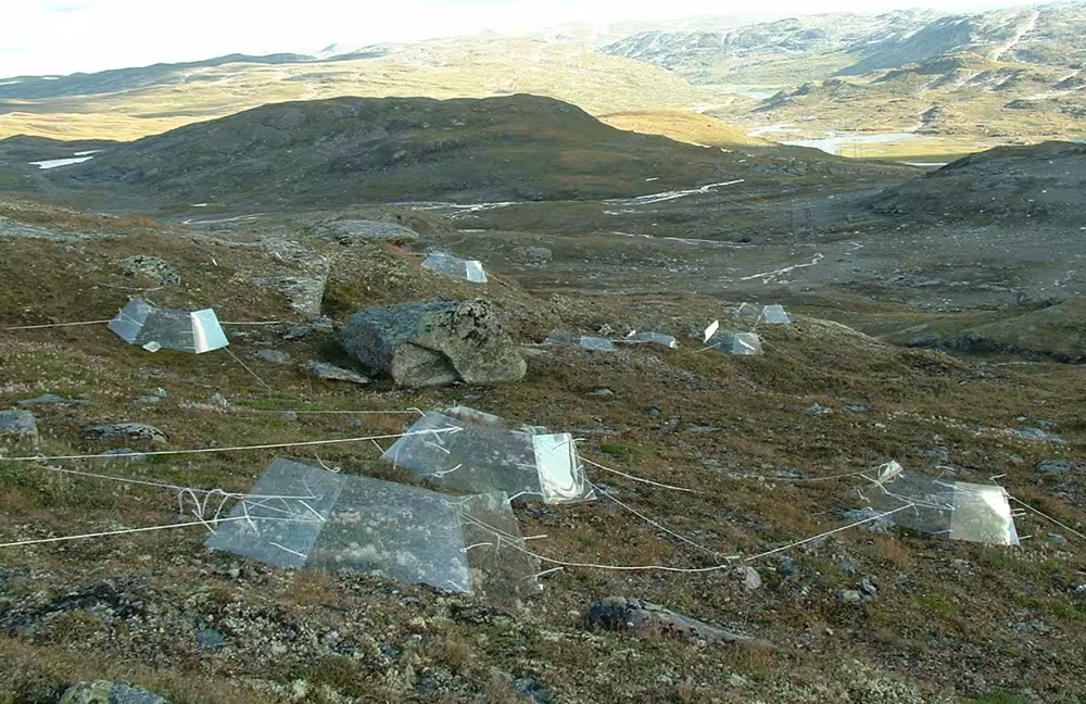 Several six-sided, open-top chambers of clear perspex on an high mountain side