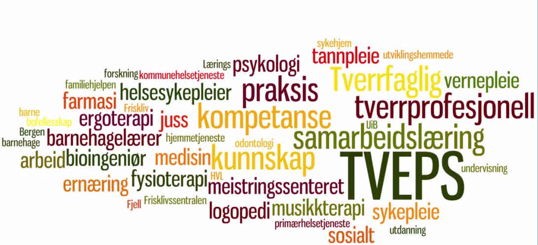 Ord som forklarer hva TVEPS jobber med og hva som er viktig for oss