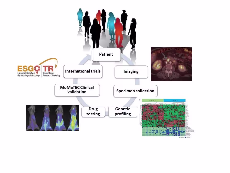 The figure illustrates the translational pathway from individual patients to participation in international clinical trials.