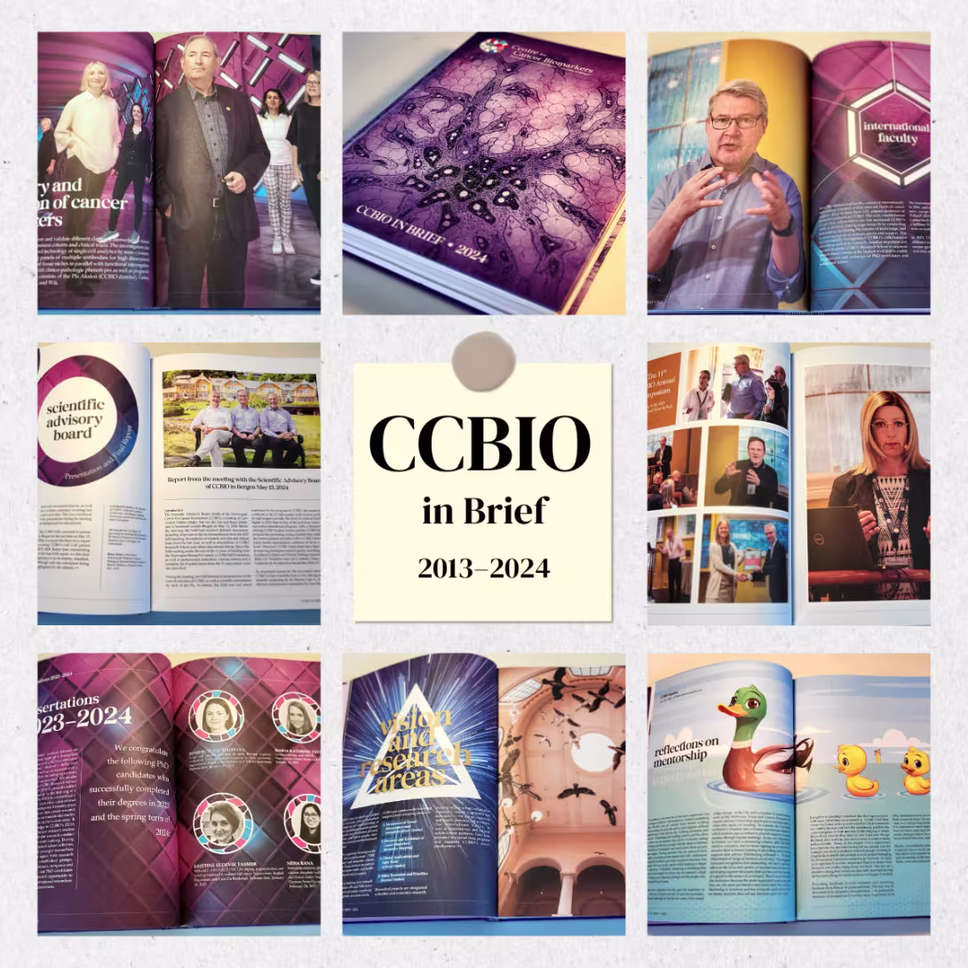 Collage of book pages in the CCBIO in Brief book.