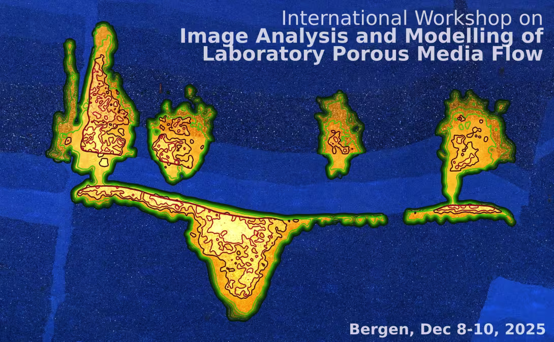Co2 injection in FluidFlower