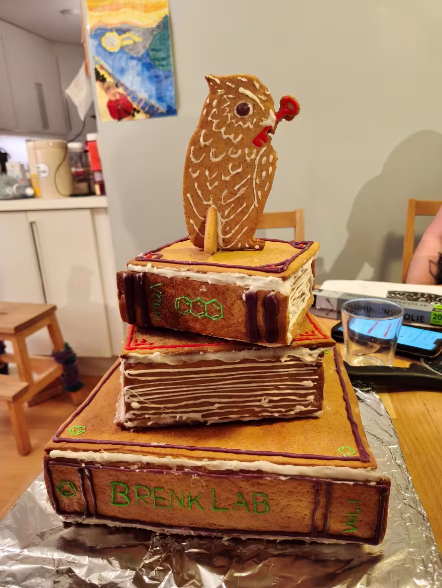 Gingerbread dough transformed to academic freedom 