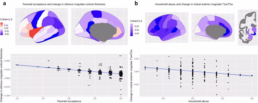 Figure describes association between parental acceptance or household abuse at ages 9–11 and change in cortical thickness and T1w/T2w from ages 9–11 to 11–13 (N = 1923).  Note: (a) Parental acceptance at ages 9–11 was associated with decreased isthmus cingulate cortical thickness at ages 11–13. (b) Household abuse was associated with decreased rostral anterior cingulate T1w/T2w at ages 11–13.