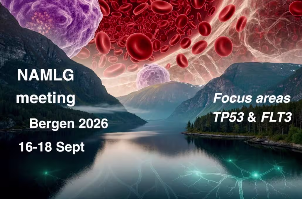 Illustrasjon med informasjon om NAMLG fokus for årsmøtet
