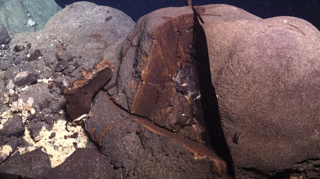 Geokjemisk og teksturell karakterisering av manganskorper: Potensielt arkiv over sjøvannsammensetning og hydrotermal aktivitet