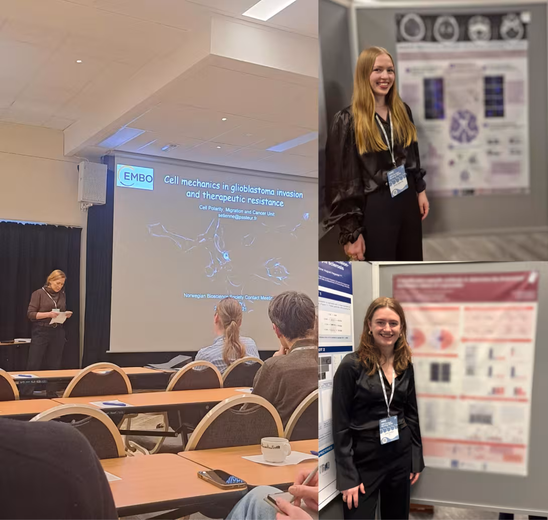 MemBrain participation at the NBS contact meeting. On the left, Henriette Aksnes (MemBrain leader) chairing the talk by Sandrine Etienne Manneville. On the top right corner, Anette Siggervåg (MemBrain PhD) with her poster. On the right bottom corner, Cheryl Oortwijn (Erasmus internship student) with her poster.