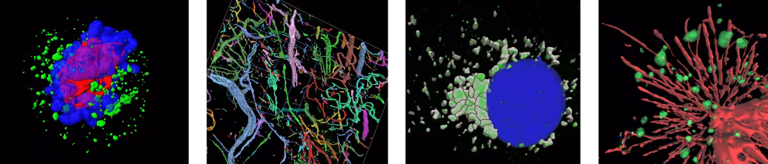 Image processing examples