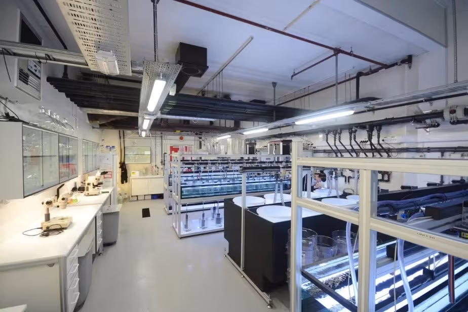Broad angle photograph of the Appendicularian facility at the Michael Sars Centre, showing aquaria and microscopy equipment.