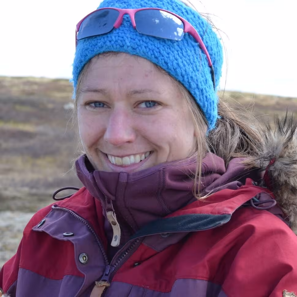 Lise Tingstad