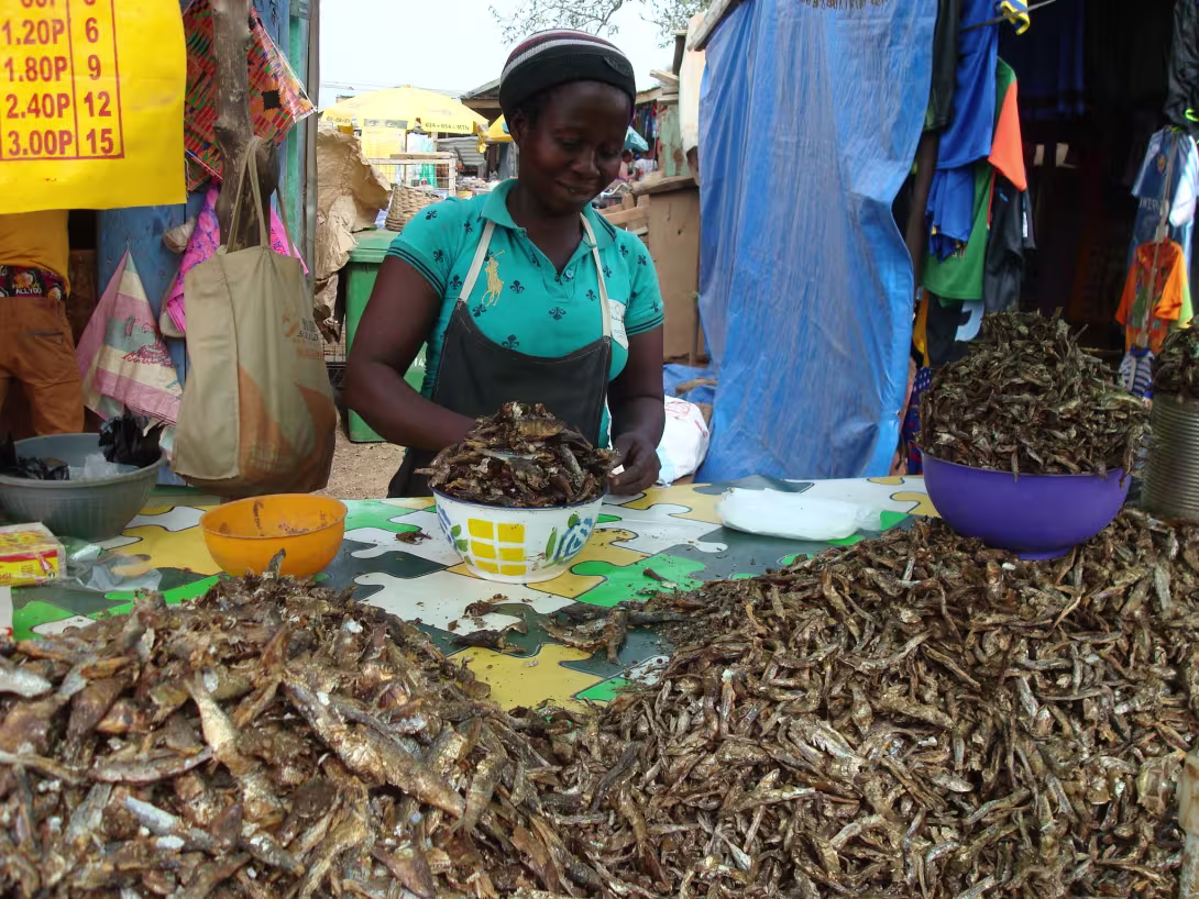 Woman selling small fish in market in Ghana in Western Africa