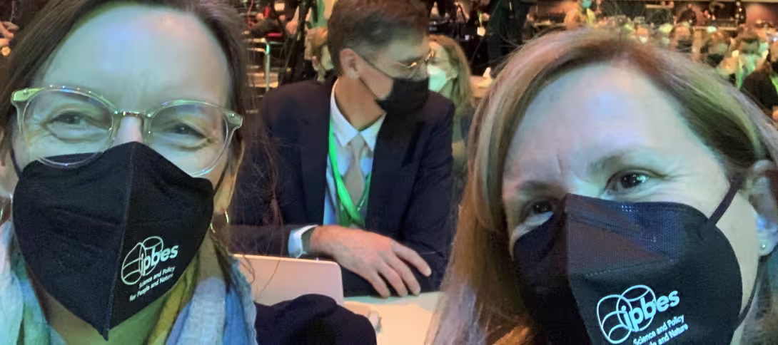 Ipbes at COP15