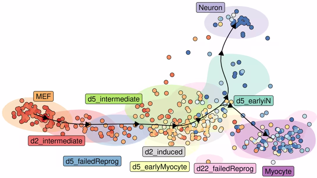 Novel machine learning challenges for modeling cell developmental dynamics
