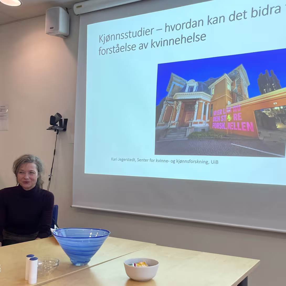 Bilde fra senterseminar 19.02.24